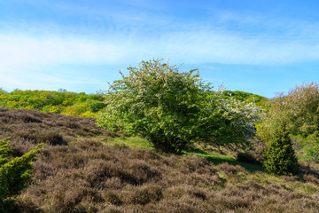 Beautiful natural surroundings at Stenhuvud national park in Simrishamn, Sweden.