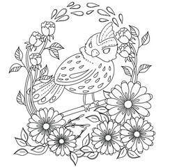 vector coloring book page for adult. stylized cartoon image, bird on branch with flowers and leafs. anti-stress relaxing pattern.