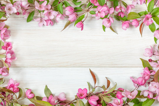 Pink flowers of a decorative apple tree on a light wooden table. Flower frame. Image for the design of congratulations, calendar on the theme of spring