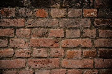 Brick Wall textures used as a background shot at Patiala, India
