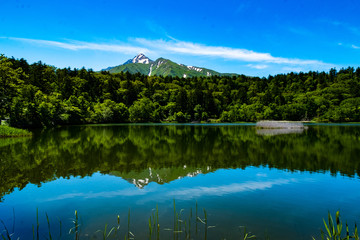 利尻島の春の風景