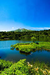Fototapeta premium 利尻島の春の風景