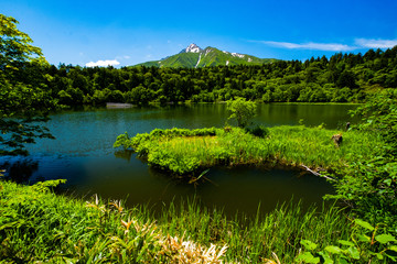 Fototapeta premium 利尻島の春の風景