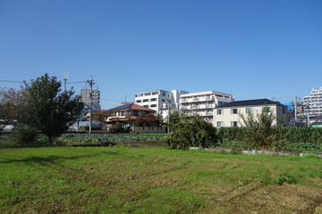 11月の日本の線路沿いの畑