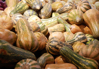 calabaza, alimento, verduras, otoñal, aplastar, caer, cosecha, 