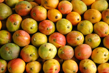 mango,manzana, fruta, alimento, rojo, manzana, salubre, fresco, 