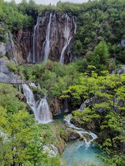 Naklejka na ściany i meble Scenic View Of Waterfall In Forest