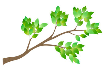 新緑　木　葉　アイコン