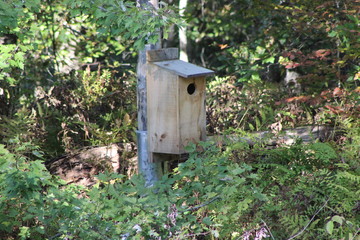 wooden bird house