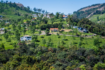 Fototapeta na wymiar Beautiful view of tea garden and Ooty city of Tamil Nadu 