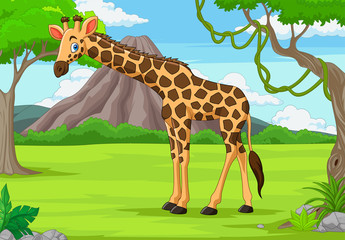Cartoon giraffe in the jungle © tigatelu