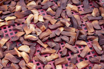 Mahogany seeds are dried in the basket. For making Thai herbal medicine.