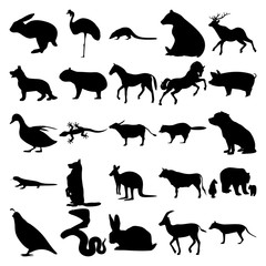 Set of 25 animals. Rabbit, Grey crowned crane, Coati, Bear, Deer, Dog, Horse, Duck, Gecko, Buffalo, Raccoon, Salamander, Kangaroo, Bull, Bear Family, Quail, Cobra snake, Hare, Gazelle, Tasmanian tiger