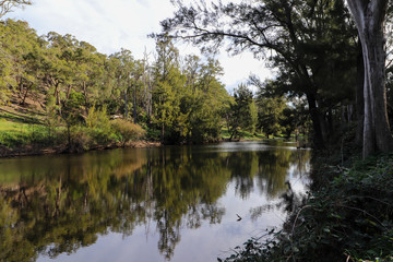 Australian River