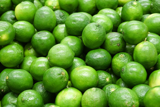 Fresh green lime pile in harvest season