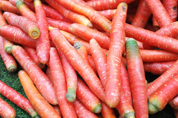 fresh carrot as food background
