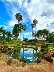 Hawaii Lush Garden