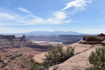 Canyon Lands featuring the La Sal Mountains