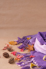 Autumn still life : lilac women's scarf, leaves and nuts