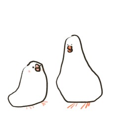 白背景に体格産のある二匹の白文鳥