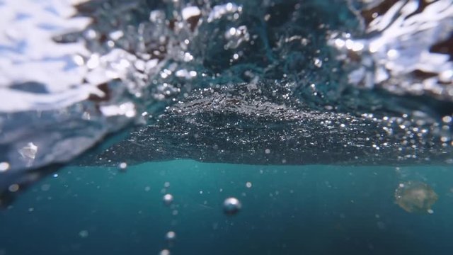 Jellyfish swimming in sea against cliff, waves splashing in ocean - Azores, Portugal