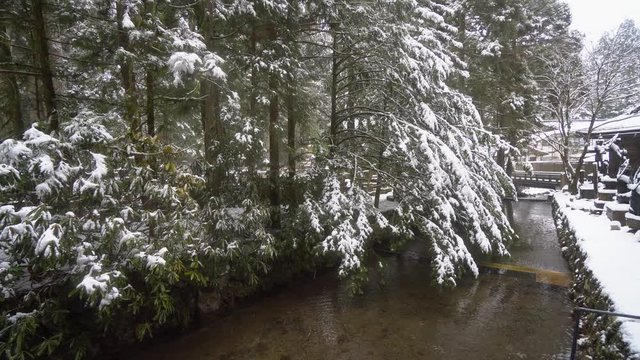 One of the many rivers that cross the sacred city of Koyasan, in Japan. In the middle of winter the snow accumulates on the pines.
