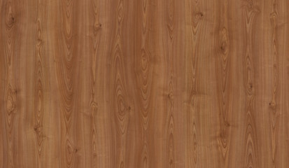 wood texture with natural pattern