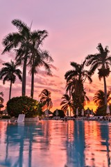 Obraz premium palm trees at sunset