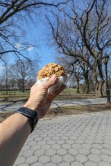 autumn in the park, with cookie