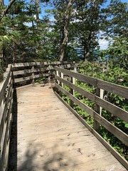 Walkway through the woods