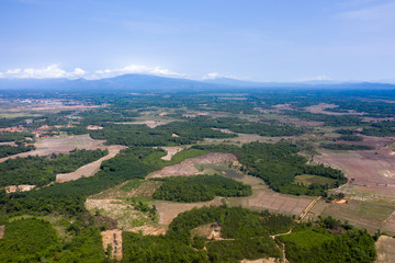 Fototapeta na wymiar aerial view of agriculture field