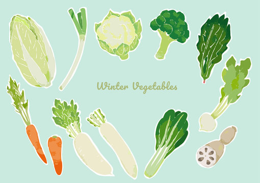 冬野菜 の画像 176 191 件の Stock 写真 ベクターおよびビデオ Adobe Stock 冬野菜 の画像 176 191 件の Stock 写真 ベクターおよびビデオ Adobe Stock