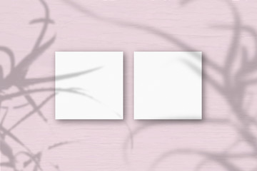 2 square sheets of white textured paper on the pink wall background. Mockup overlay with the plant shadows. Natural light casts shadows from the aloe Flat lay, top view