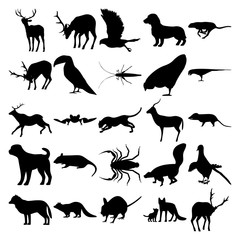 Fototapeta premium Set of 25 animals. Deer, Goshawk, Dachshund, Cheetah, Toucan, Grasshopper, Chicken, Parrots, Elk, Bat, Cheetah, Antelope, Opossum, Dog, Rat, Scorpion, Skunk, Pigeon, Arctic Wolf, Racoon, Rodents, Fox.