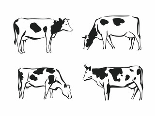 Different types of cows. Hand-drawn graphics. Food Label Blanks