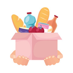 charity donation box with groceries