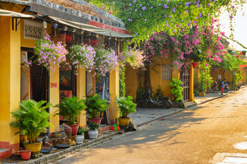 Colorful morning view of cozy street decorated with flowers