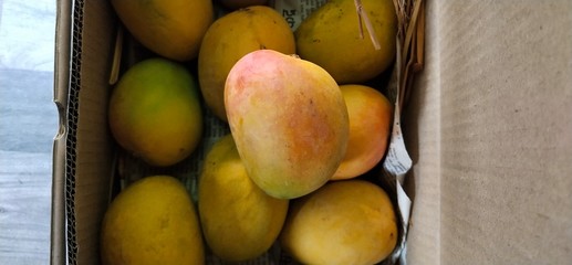 mango fruit in a basket