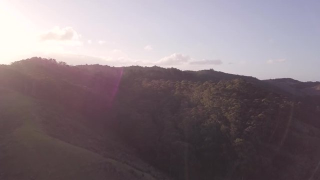 Sunset over vast temperate forest in New Zealand