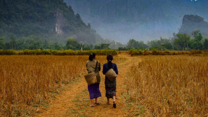 A walk through a dry rice field on a read dirt road