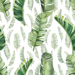 Pattern with beautiful watercolor tropical leaves. Tropics. Realistic tropical leaves. - 347699939