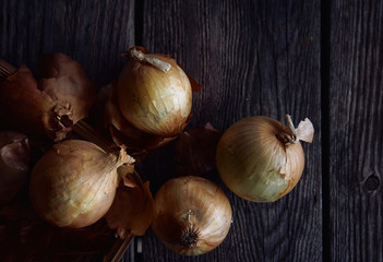 The onion on rusty wooden table