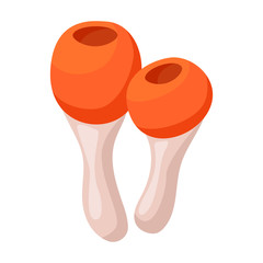 Poisonous mushroom vector icon.Cartoon vector icon isolated on white background poisonous mushroom.