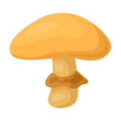 Poisonous mushroom vector icon.Cartoon vector icon isolated on white background poisonous mushroom.