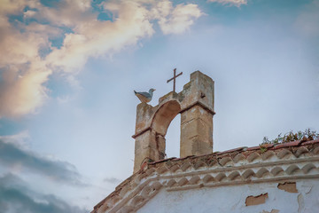 Dove on a tiled roof against the sky