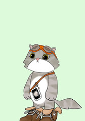 Cute cat ready to go on a trip wallpaper