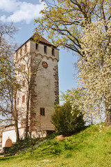 Fototapeta na wymiar St. Johannturm in Basel
