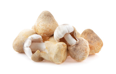 straw mushroom on white background