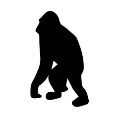 Silhouette of orangutan on white background