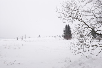 Verschneite Winterlandschaft, hochebene, karg, kalt